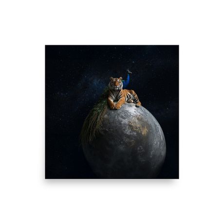 The Tiger and the Peacock Print | Matte Paper Poster 12" x 12" | Nooboo