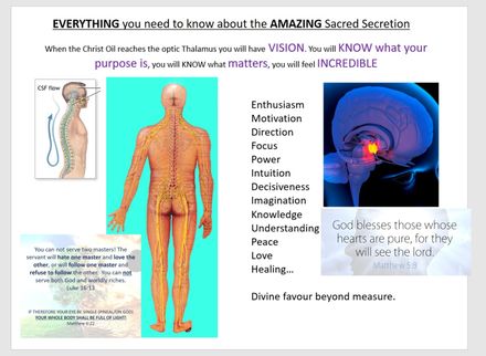 SEEK VISION - Sacred Secretion / Christ Oil Transcript. Full Biblical and physiological break down.