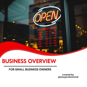 Easy Professional Business Overview for Small Business Owners