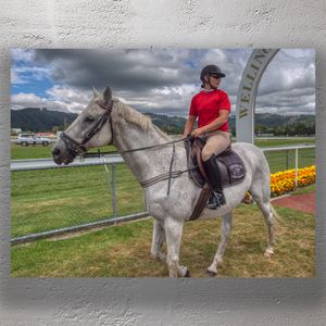 Equestrian Elegance at Wellington Racecourse Stunning Gray Horse and Rider in Action Photo Download