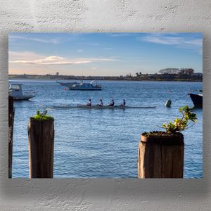 Rowing Team on Calm Coastal Waters with Boats in Tauranga Bay New Zealand Photo Download