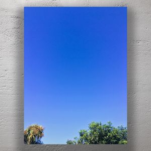 Vivid Blue Sky with Lush Green Trees Photo Download
