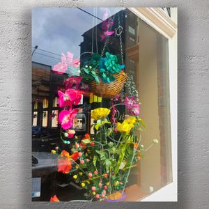 Colorful Floral Window Display with Reflections Photo Download