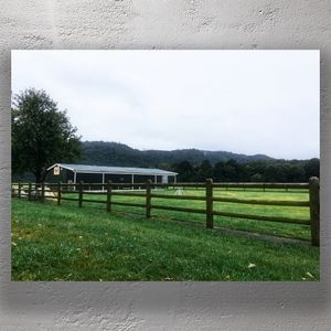 Trentham Memorial Park Arena with Scenic Mountain Backdrop Photo Download