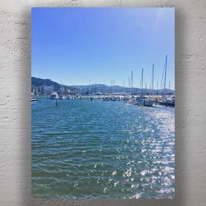 Wellington Waterfront Marina on a Sunny Day Boats Blue Sky and Sparkling Harbor Photo Download