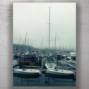 Boats at Chaffers Marina Wellington A Misty Harbor Scene Photo Download