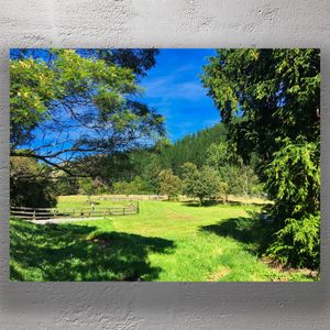 Sunny Rural Farm Landscape with Lush Green Fields in New Zealand Countryside Photo Download
