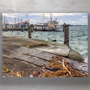 Seagull on Wharf by Fishing Boats in Windy Harbour Scene Photo Download