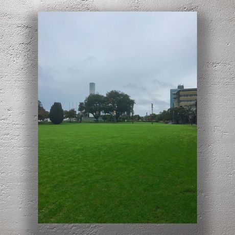 Lush Green City Square in Palmerston North on an Overcast Day Photo Download