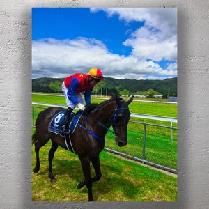 Jockey Riding a Racehorse on a Scenic Track Horse Racing Action Shot Photo Download
