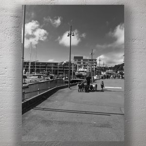 Dog Walker on Wellington Waterfront Promenade with Boats and Marina in View Photo Download