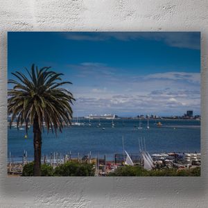 Scenic Melbourne Bay with Palm Tree Sailboats, and Distant Cruise Ship Photo Download