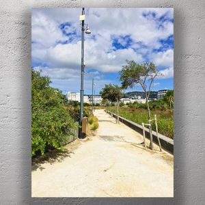 Sunny Walking Path Urban Nature Trail with Blue Sky and City Views Photo Download