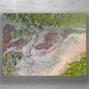 Aerial View of Vibrant Wetlands and Coastal Bushland Colorful Natural Landscape Photo Download