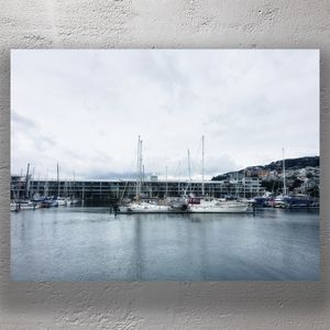 Chaffers Marina Yachts in Wellington Harbour on a Cloudy Day Photo Download