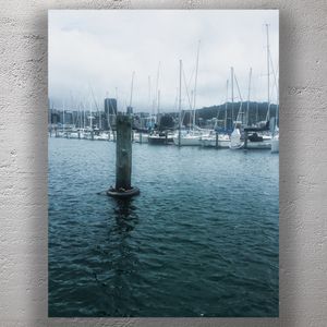 Serene Marina Scene Sailboats and Masts at Chaffers Marina Wellington Photo Download