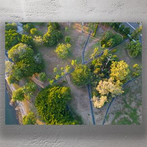 Aerial View of a Scenic Urban Park with Lush Greenery and Winding Pathways Photo Download