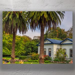 Palm Trees and Historic Building in Victoria Esplanade Gardens Palmerston North Photo Download