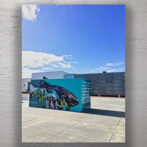 Urban Street Art Container Featuring Native Fish Mural in Lower Hutt New Zealand Photo Download