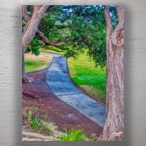 Winding Path Through a Lush Green Park Serene Nature Landscape Photo Download