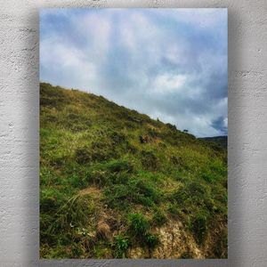 Rustic Hillside with Roaming Rooster Under Moody Skies Photo Download