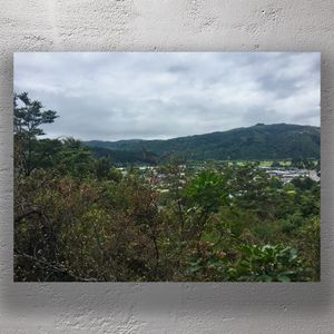 Scenic View of Silverstream Upper Hutt Lush Green Hills and Townscape Photo Download