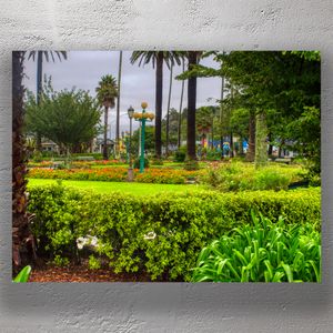 Clive Square Gardens Napier A Tranquil Oasis with Lush Greenery and Vibrant Flowers Photo Download