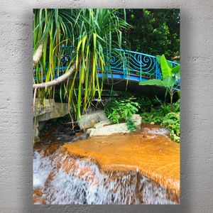 Tropical Garden Waterfall with Vibrant Blue Bridge Lush Greenery and Flowing Water Photo Download