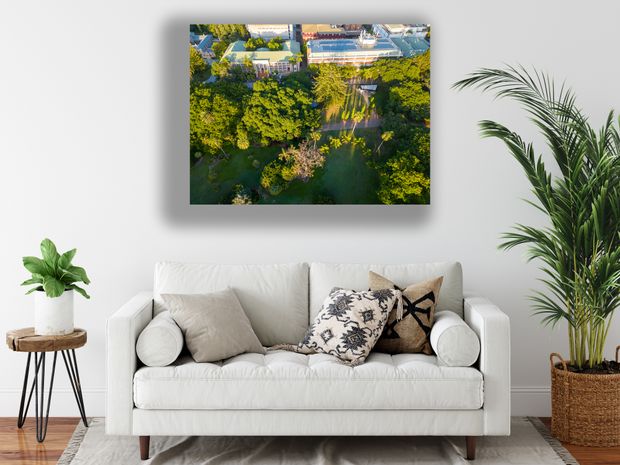 Brisbane City Botanic Gardens Aerial View with Historic Buildings and Lush Greenery Photo Download