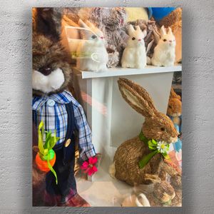 Adorable Easter Bunny Display with Plush Rabbits and Spring Decor in Shop Window Photo Download