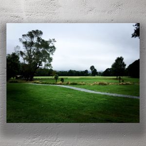 Tranquil Morning at Trentham Memorial Park Scenic New Zealand Landscape Photo Download