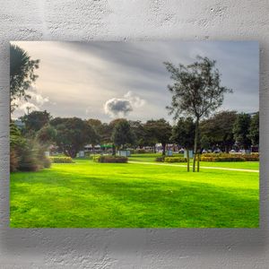 Sunny Afternoon at The Square Palmerston North City Park Landscape Photo Download
