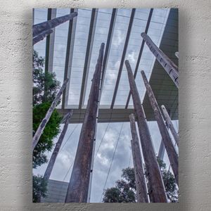 Architectural Contrast Tall Wooden Poles Against Modern Glass Ceiling Photo Download