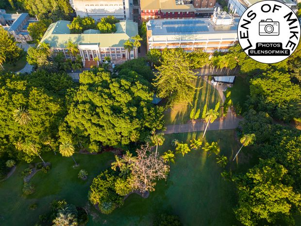Brisbane City Botanic Gardens Aerial View with Historic Buildings and Lush Greenery Photo Download