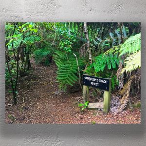 Undeveloped Forest Trail with No Exit Sign Hidden Path in Lush Green Wilderness Photo Download