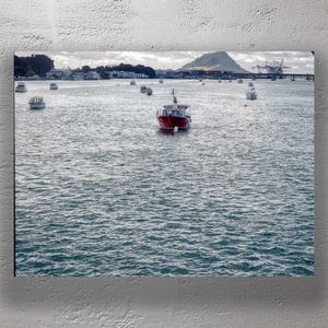 Red Fishing Boat in Tauranga Harbour with Mount Maunganui in Background Photo Download