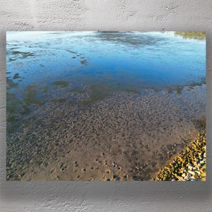 Serene Coastal Mudflats Natural Ocean Patterns in Low Tide Photo Download