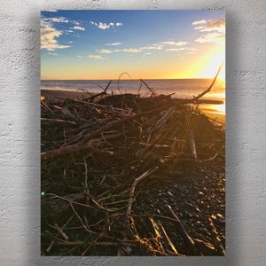 Golden Driftwood Sunset on a Pebble Beach Coastal Seascape Photo Download