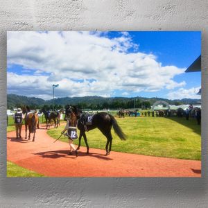 Trentham Racecourse Parade Ring Racehorses and Handlers Before the Big Event Photo Download
