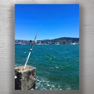 Fishing in Wellington Harbour Scenic Ocean View with City Skyline Photo Download