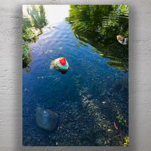 Pond with Hidden Message Nature Photography with Floating Rock and Duck Photo Download