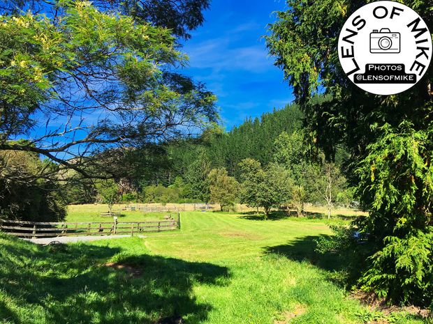 Sunny Rural Farm Landscape with Lush Green Fields in New Zealand Countryside Photo Download