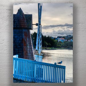 Rustic Windmill by Aotea Lagoon at Sunset Seagull on Blue Fence in Porirua Photo Download
