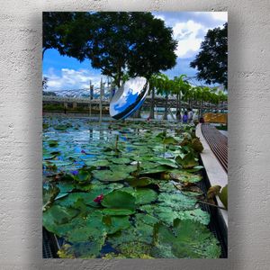 Water Lily Pond with Reflective Sculpture at Marina Bay Sands Singapore Photo Download