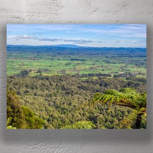 Kaimai Mamaku Forest Park and Waikato Plains Lush New Zealand Landscape Photo Download