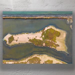 Aerial View of Coastal Sandbar Island with Tidal Channels and Vegetation Photo Download