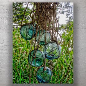 Nautical Glass Floats in Rope Net Hanging from Tree Rustic Coastal Decor Photo Download
