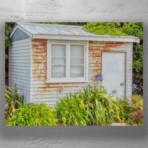 Rustic Charm Weathered Shed with Rusty Patina and Vibrant Greenery Photo Download
