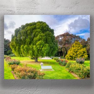 Lush Garden Landscape with Majestic Tree Palmerston North Botanic Beauty Photo Download