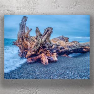 Majestic Driftwood on Pebble Beach Coastal Nature Photography Photo Download